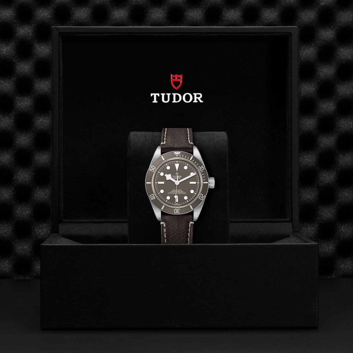 Tudor Black Bay 58-925 — photo 5 of 5
