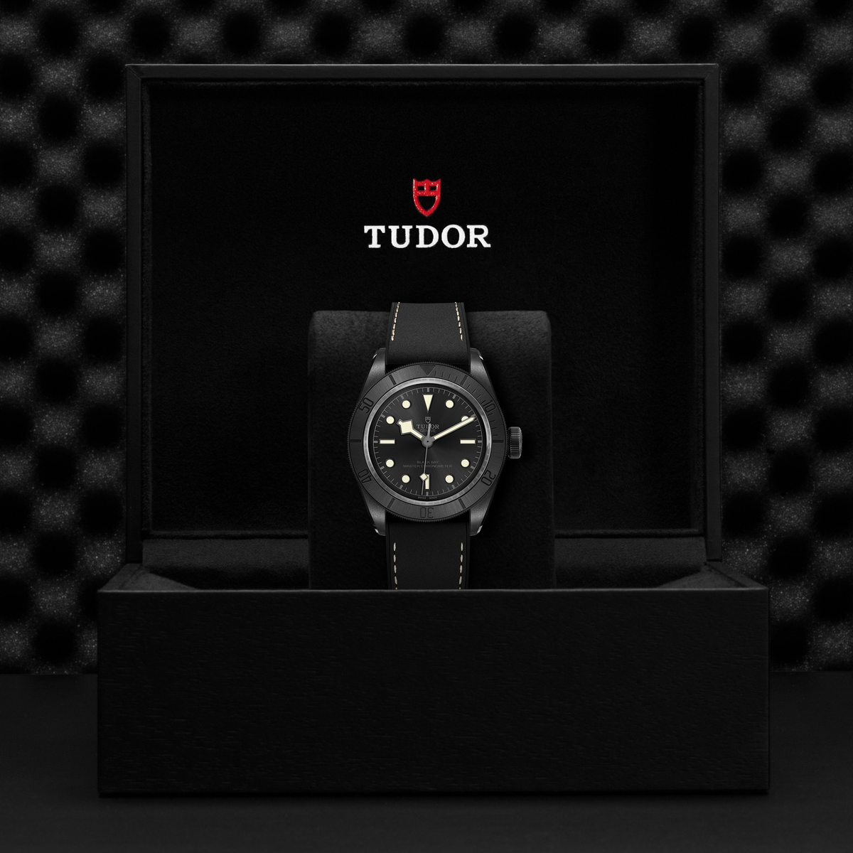 Tudor Black Bay CERAMIC — photo 5 of 5
