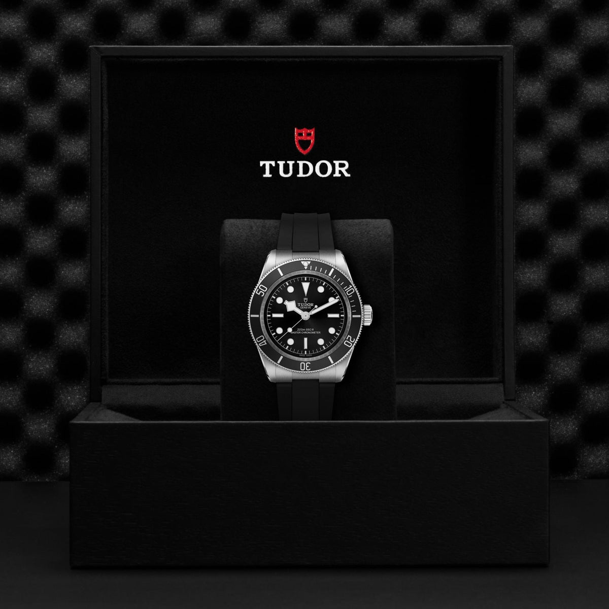 Tudor Black Bay — photo 5 of 5