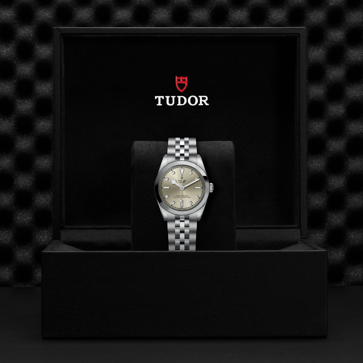 Tudor Black Bay 31 — photo 5 of 5