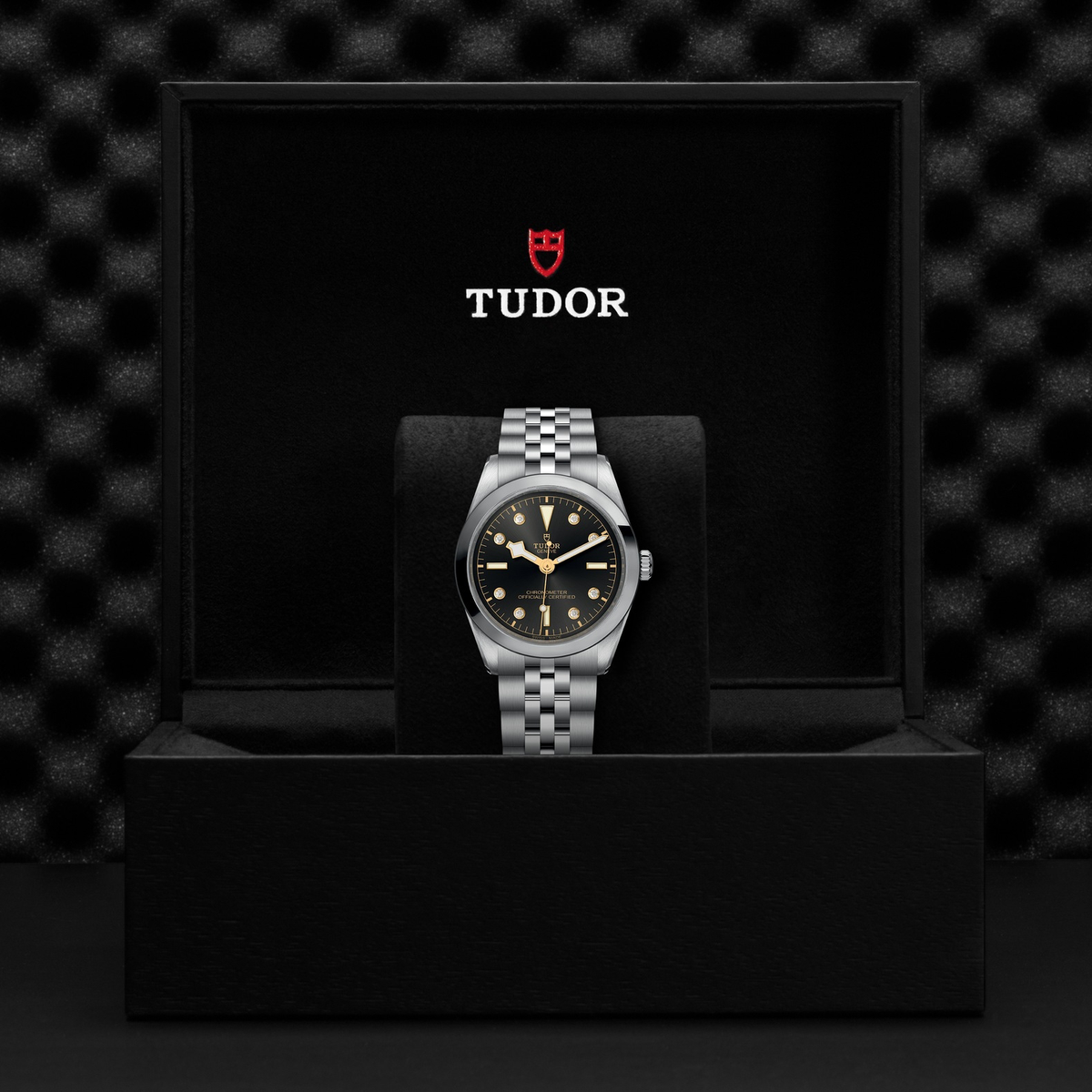 Tudor Black Bay 36 — photo 5 of 5