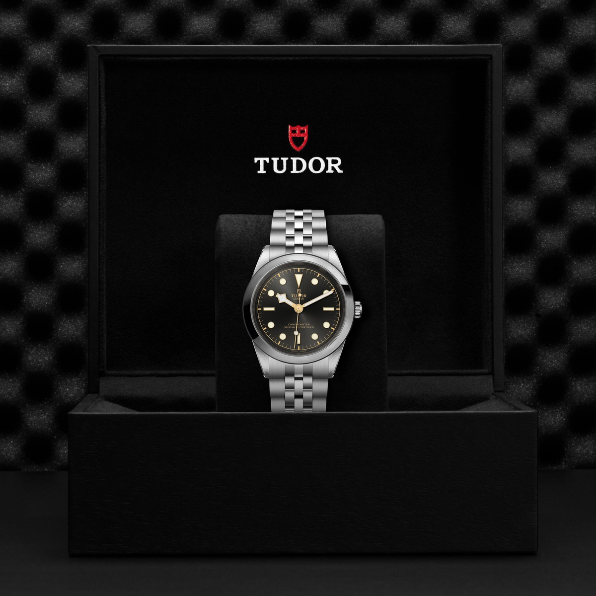 Tudor Black Bay 41 — photo 5 of 5