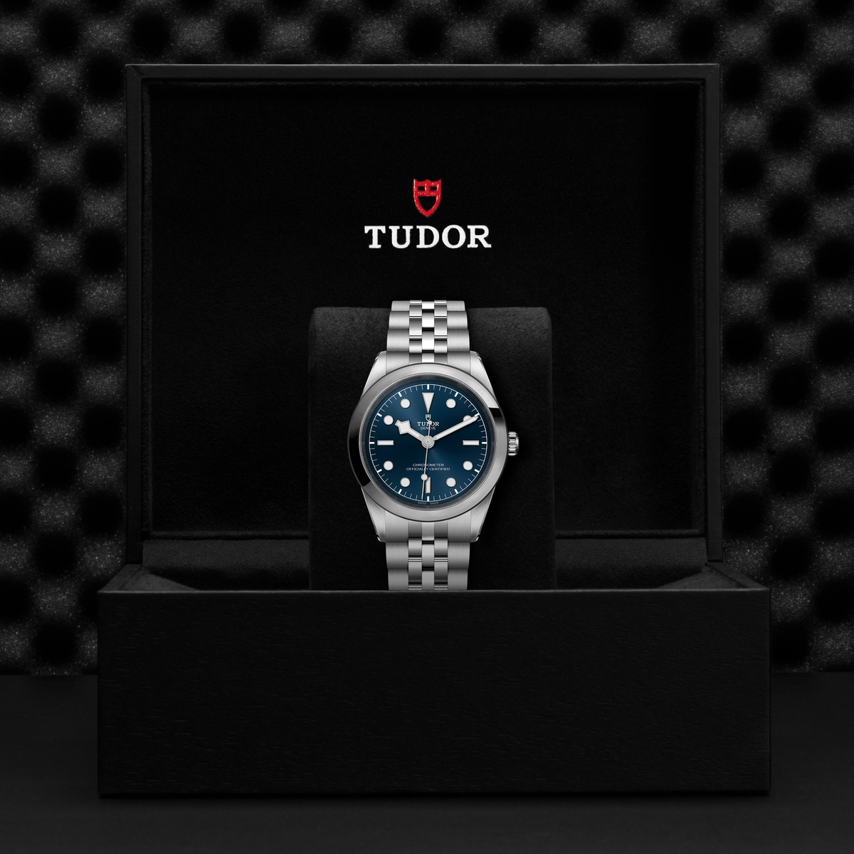 Tudor Black Bay 41 — photo 5 of 5