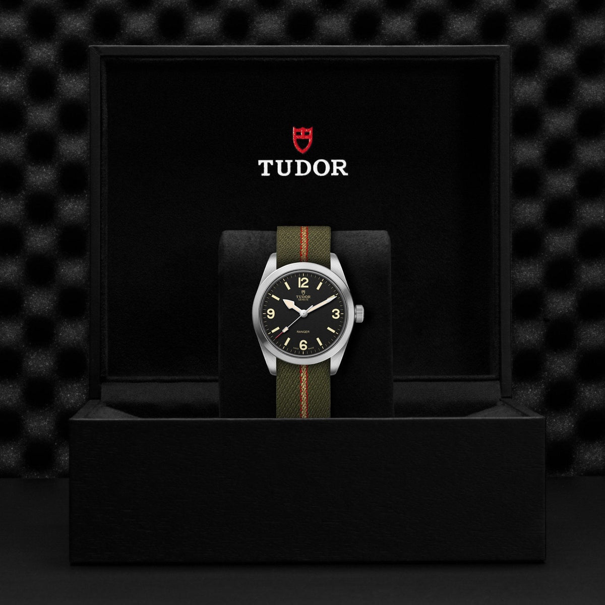 Tudor Ranger — photo 5 of 5
