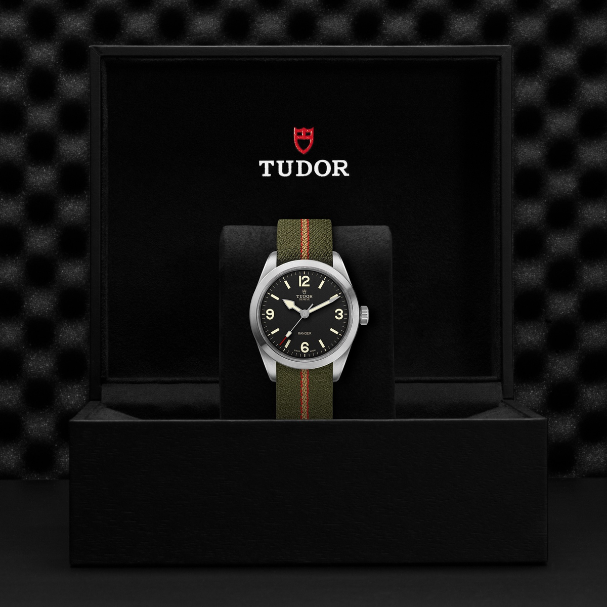Tudor Ranger — photo 5 of 5