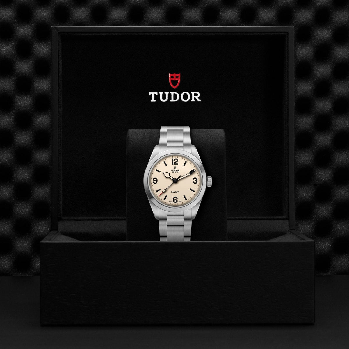 Tudor Ranger — photo 5 of 5