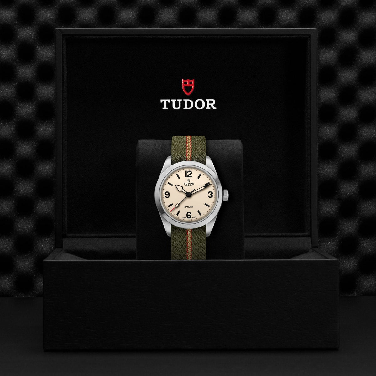 Tudor Ranger — photo 5 of 5
