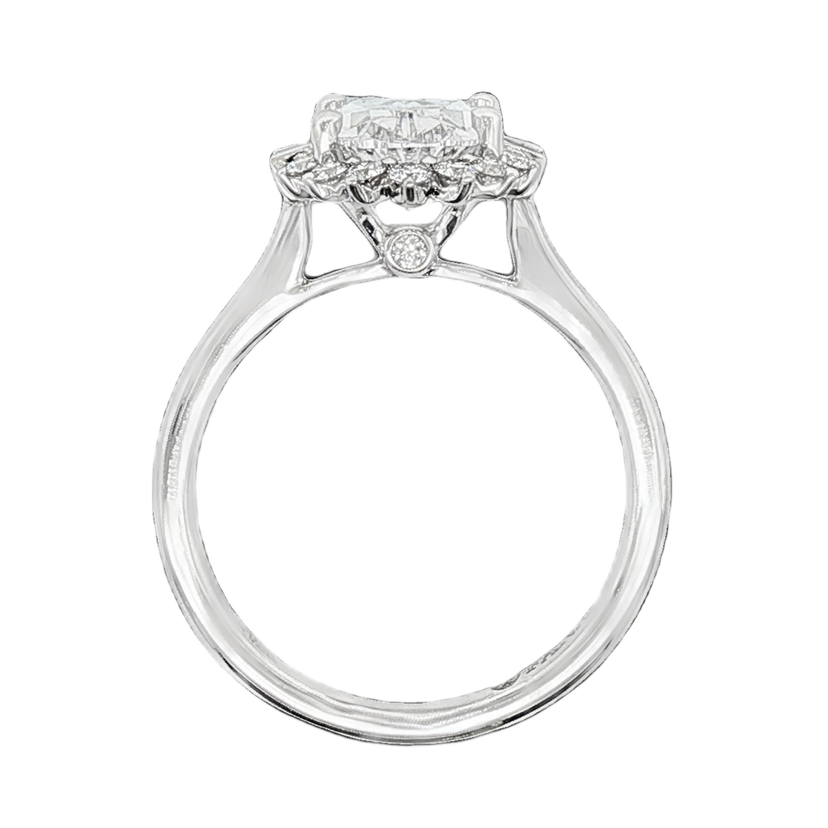 Fana Halo Diamond Engagement Ring — photo 3 of 3