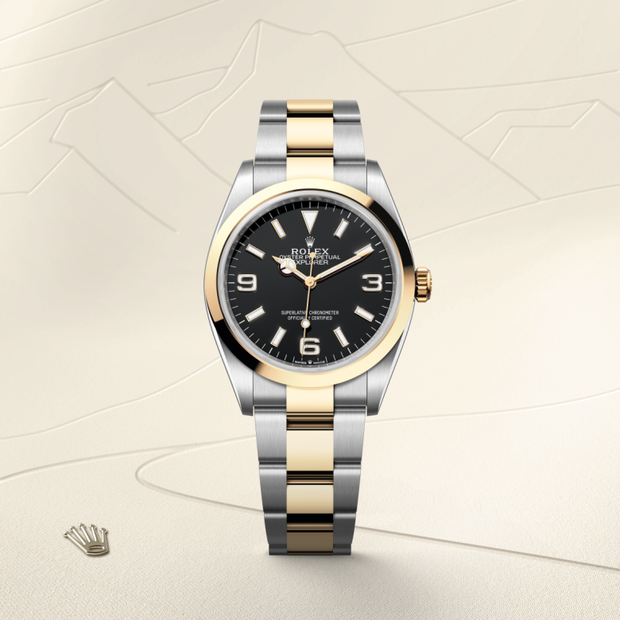Oyster, 36 mm, Oystersteel and yellow gold