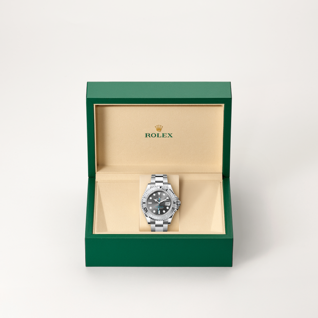 Oyster, 40 mm, Oystersteel and platinum