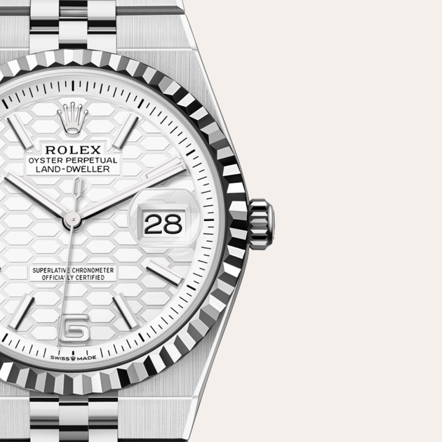 Rolex Land-Dweller in White Rolesor - combination of Oystersteel and white gold, M127234-0001 - H.L. Gross Jewelers