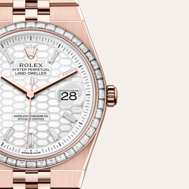 Oyster, 36 mm, Everose gold and diamonds