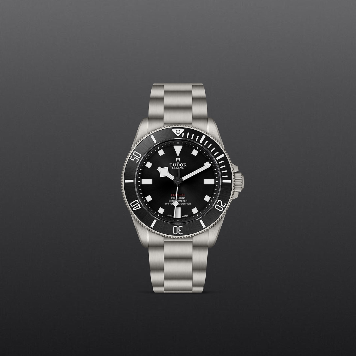 Tudor Pelagos 39 — photo 2 of 5