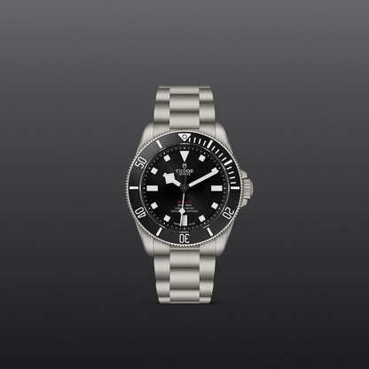 Tudor Pelagos 39 — photo 2 of 5