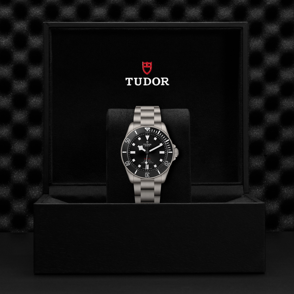Tudor Pelagos 39 — photo 5 of 5