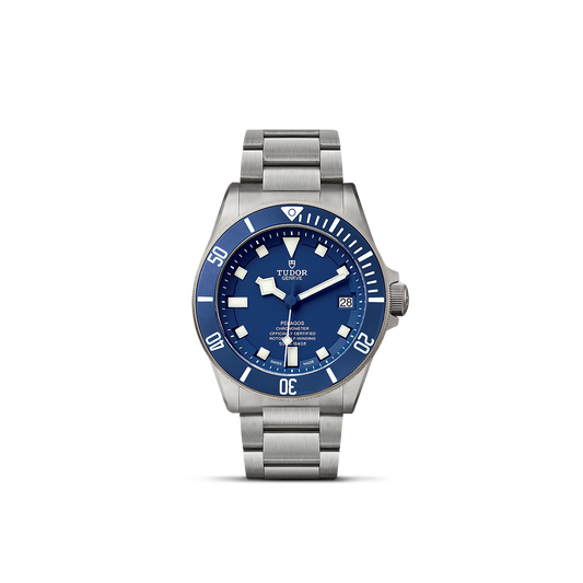 Tudor Pelagos — photo 1 of 5