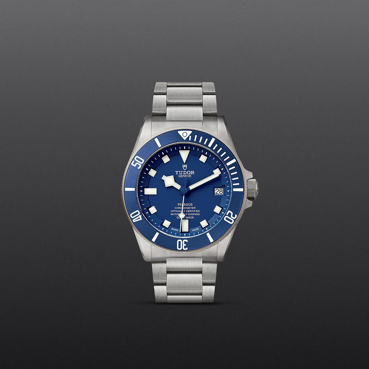 Tudor Pelagos — photo 2 of 5