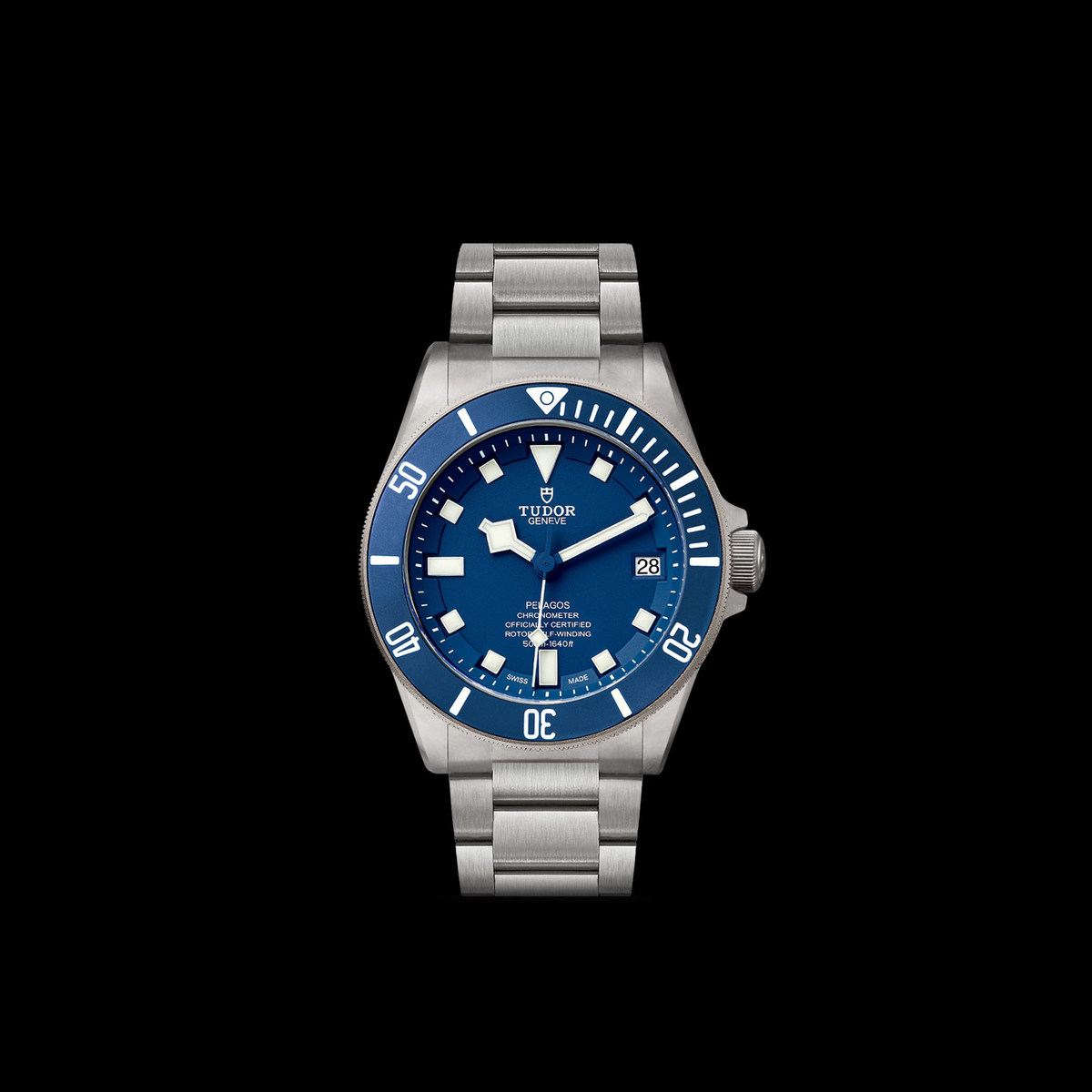 Tudor Pelagos — photo 3 of 5