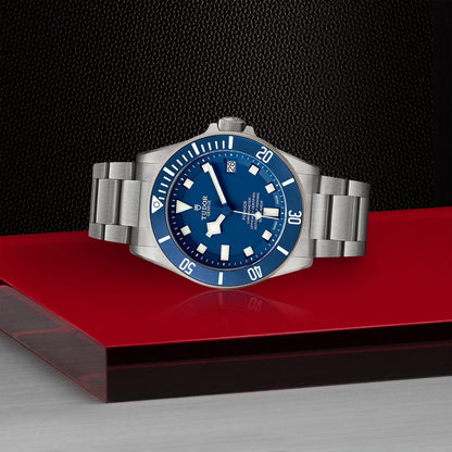 Tudor Pelagos — photo 4 of 5