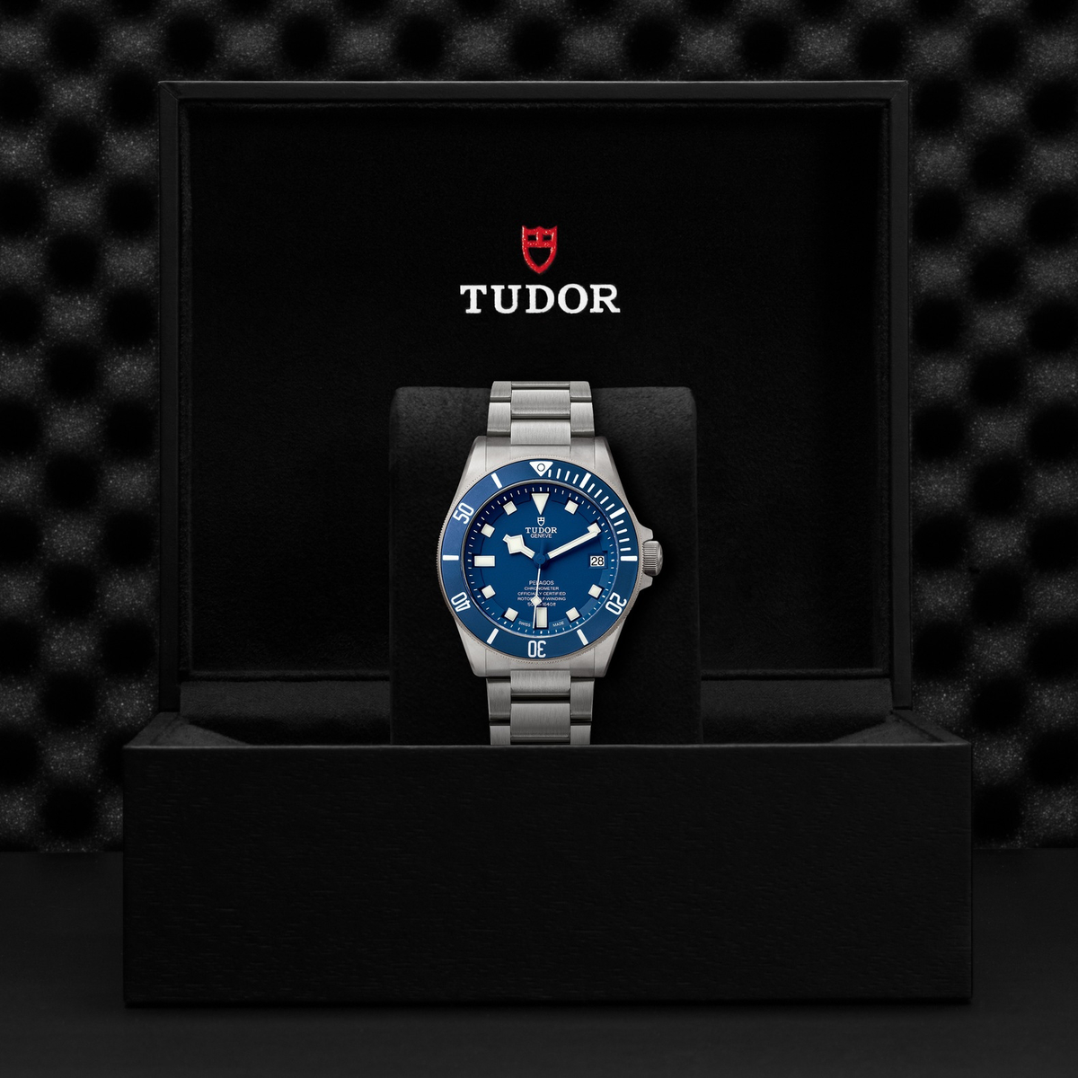 Tudor Pelagos — photo 5 of 5