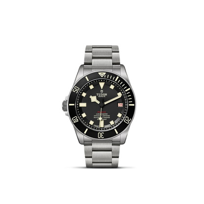 Tudor Pelagos — photo 1 of 5