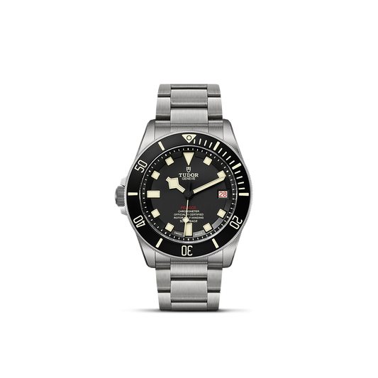 Tudor Pelagos — photo 1 of 5