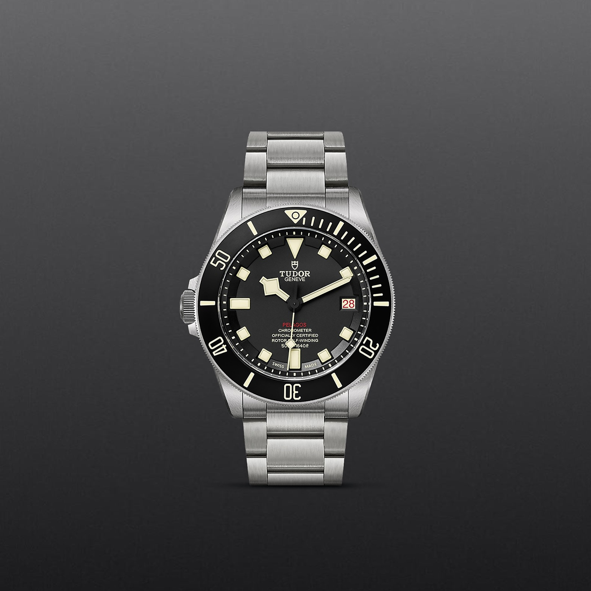 Tudor Pelagos — photo 2 of 5