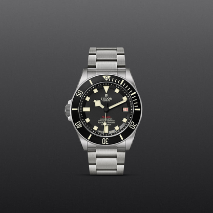 Tudor Pelagos — photo 2 of 5