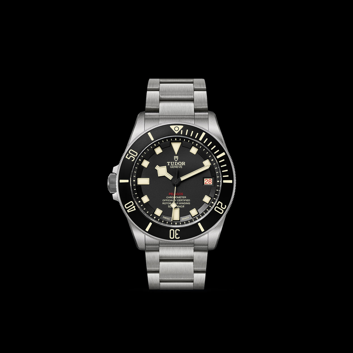 Tudor Pelagos — photo 3 of 5
