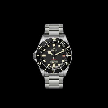 Tudor Pelagos — photo 3 of 5