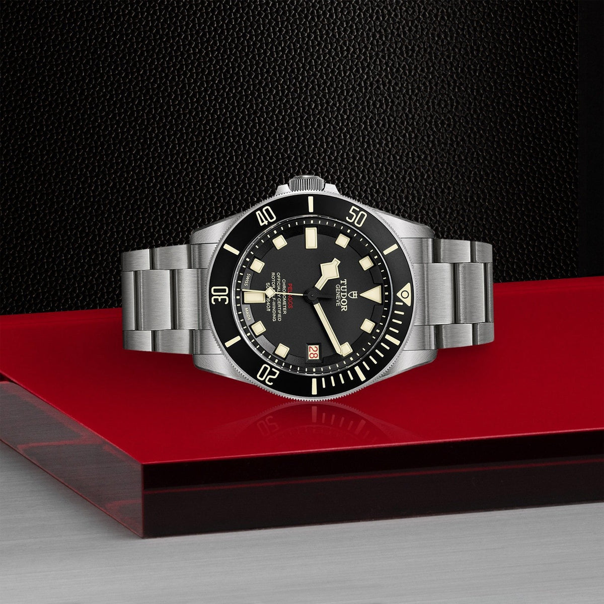 Tudor Pelagos — photo 4 of 5