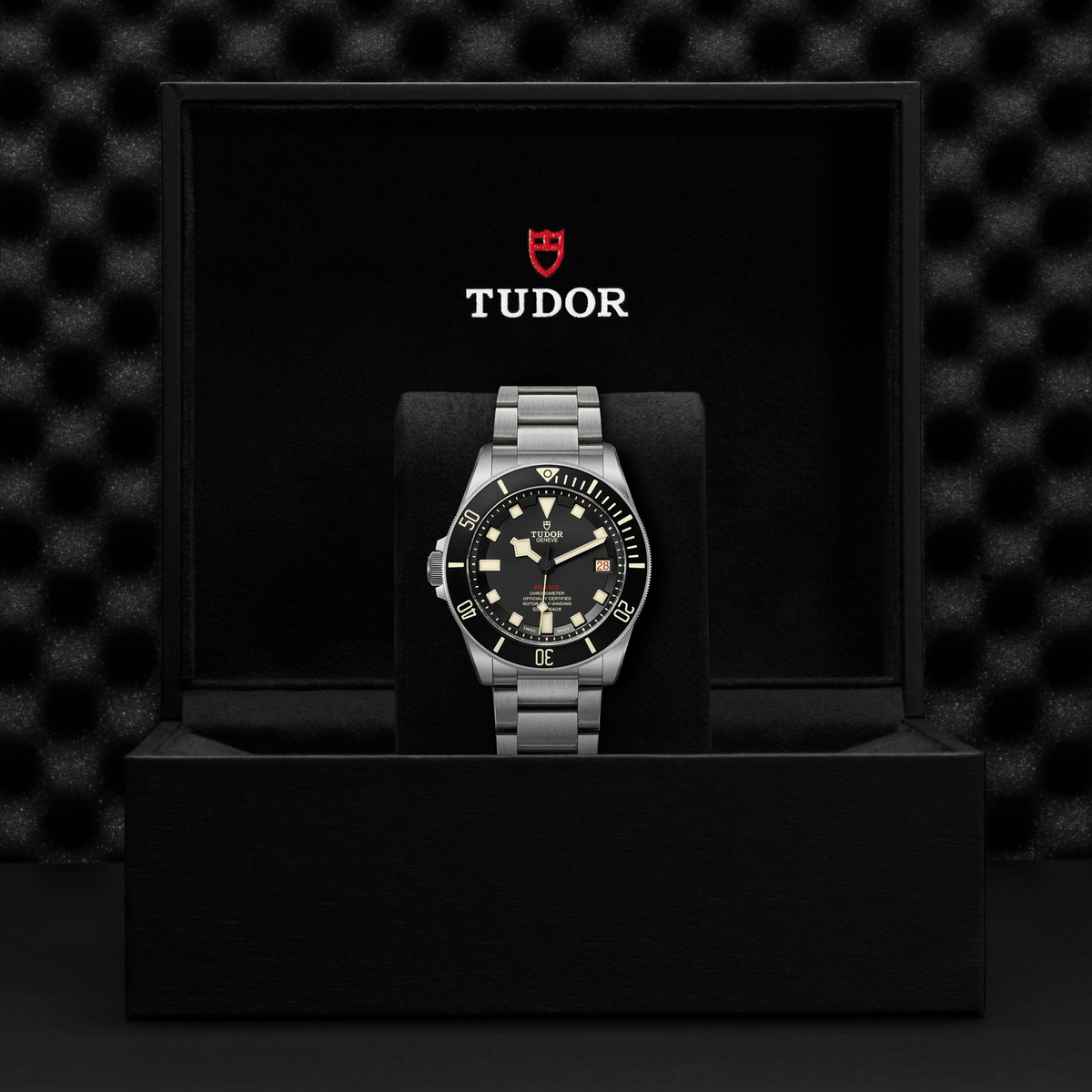 Tudor Pelagos — photo 5 of 5