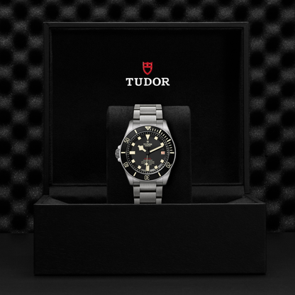 Tudor Pelagos — photo 5 of 5