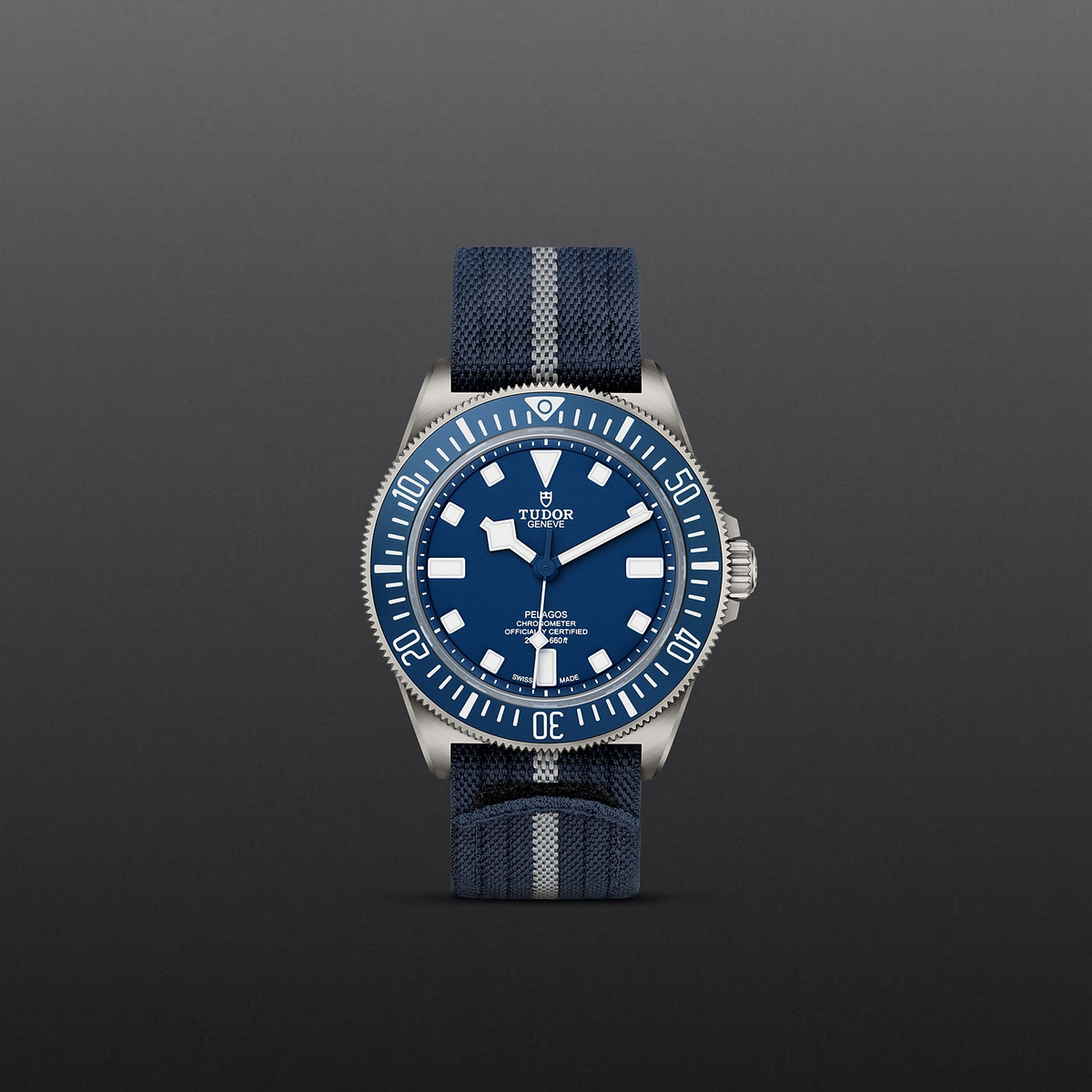 Tudor Pelagos FHD — photo 2 of 5