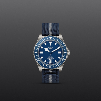 Tudor Pelagos FHD — photo 2 of 5