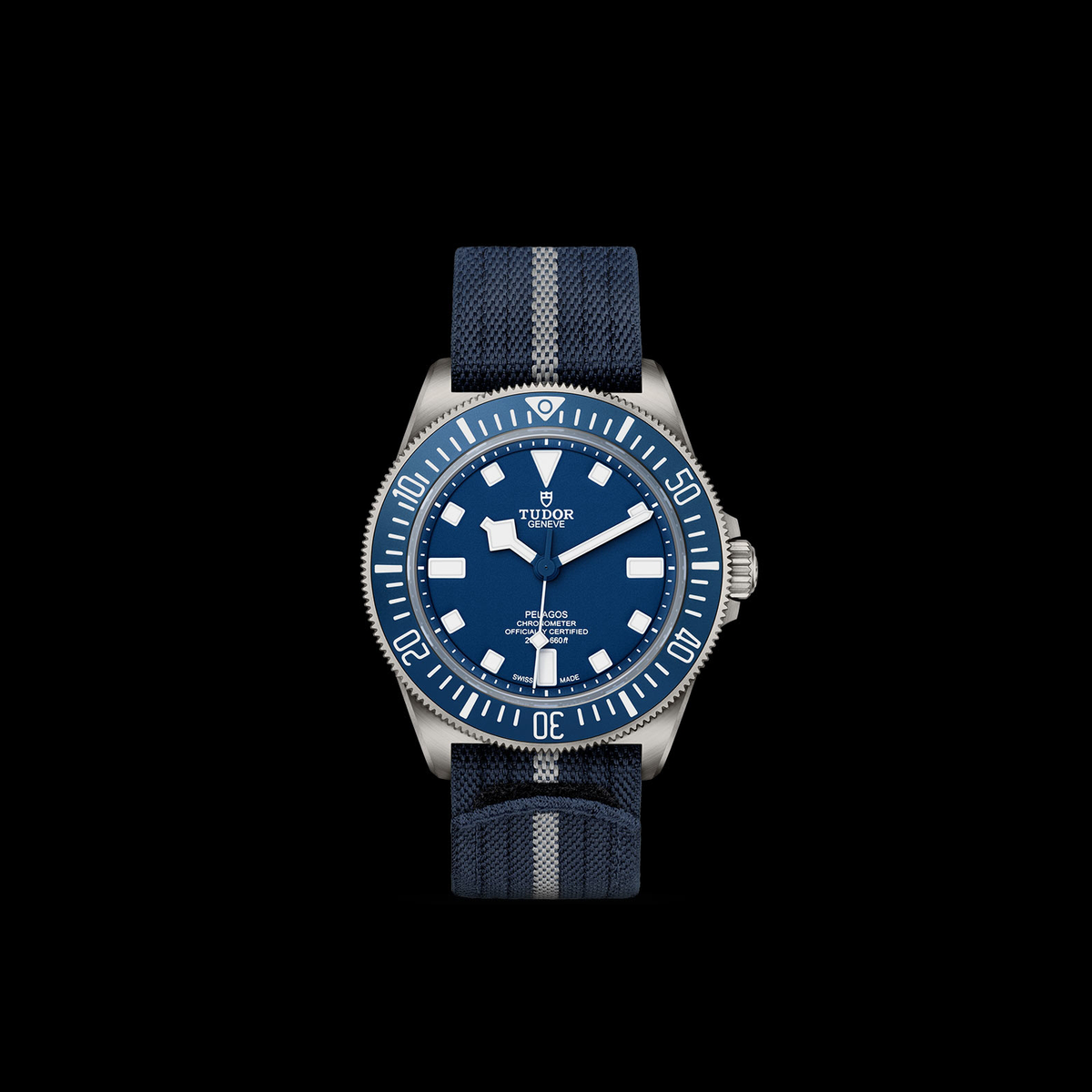 Tudor Pelagos FHD — photo 3 of 5