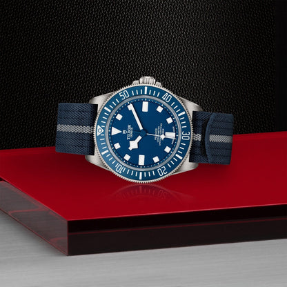 Tudor Pelagos FHD — photo 4 of 5
