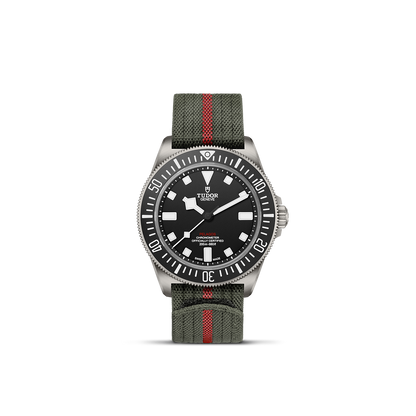 Tudor Pelagos FXD — photo 1 of 5