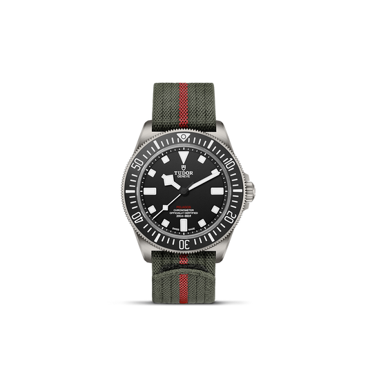 Tudor Pelagos FXD — photo 1 of 5