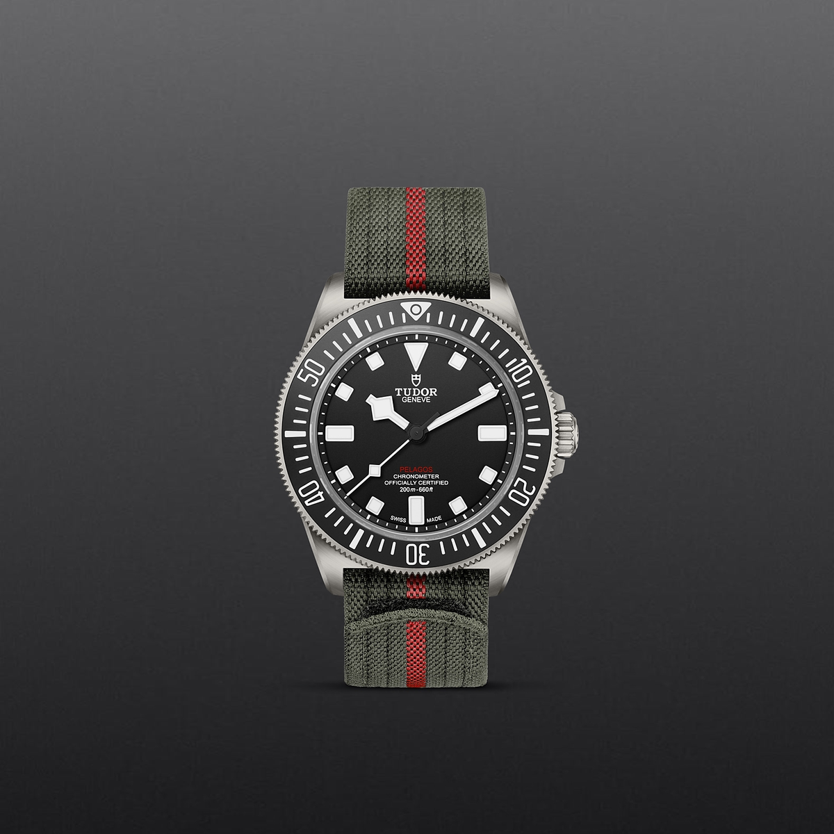 Tudor Pelagos FXD — photo 2 of 5
