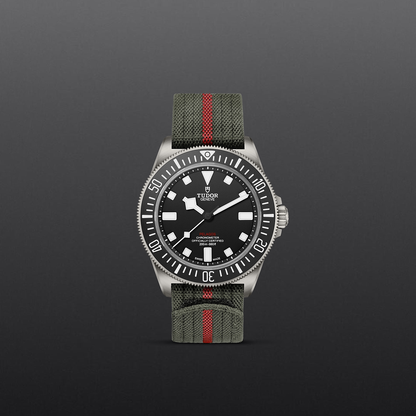 Tudor Pelagos FXD — photo 2 of 5