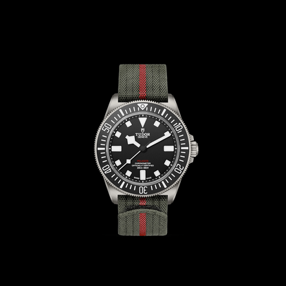 Tudor Pelagos FXD — photo 3 of 5
