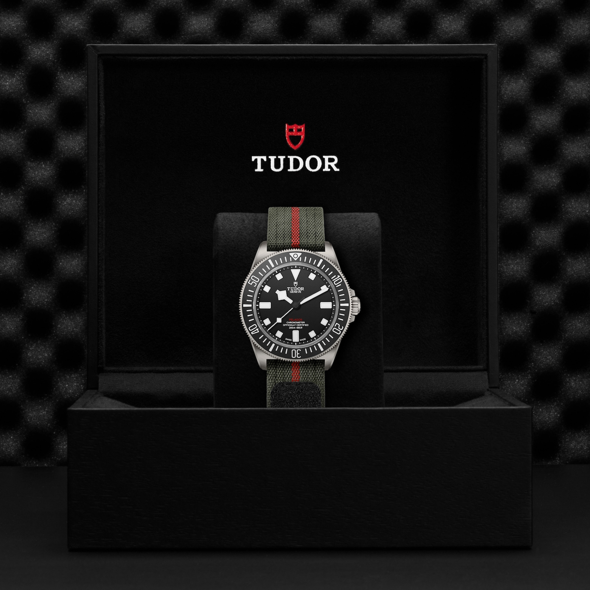 Tudor Pelagos FXD — photo 5 of 5