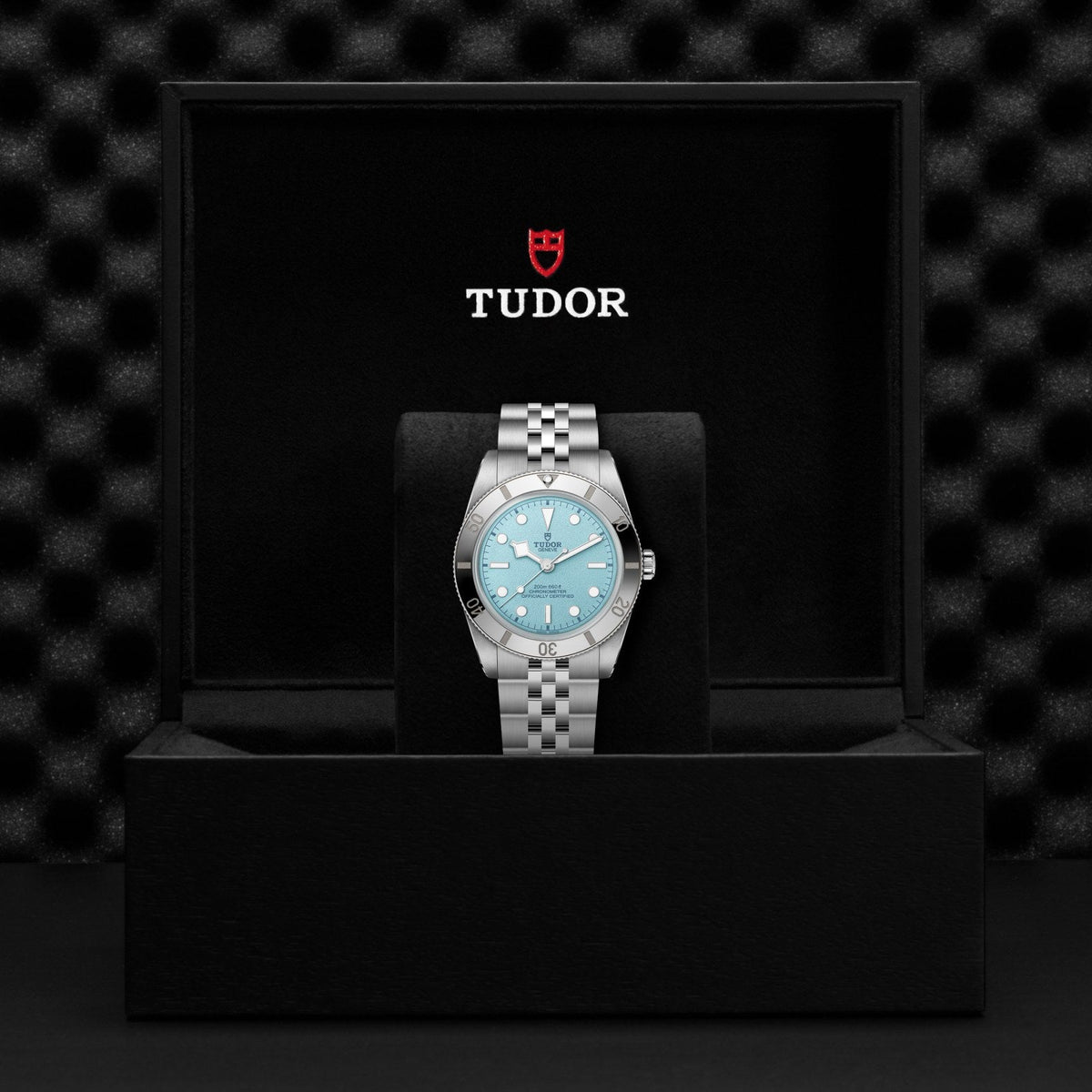 Tudor Black Bay 54 "Lagoon Blue" — photo 5 of 5