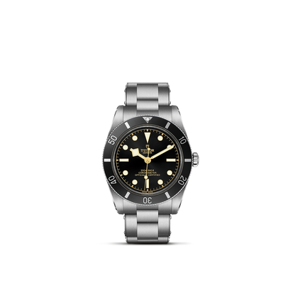 Tudor Black Bay 54 — photo 1 of 5