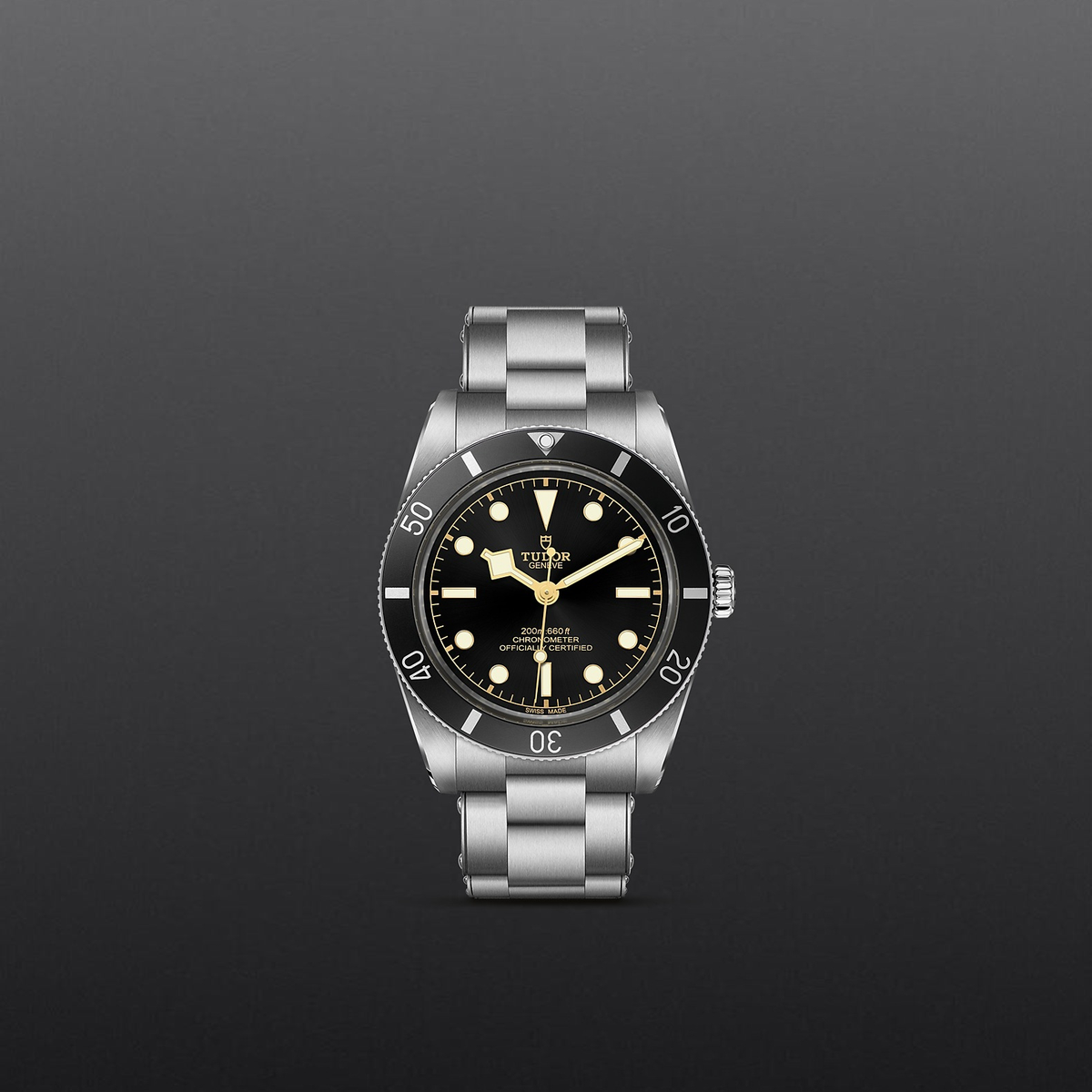 Tudor Black Bay 54 — photo 2 of 5