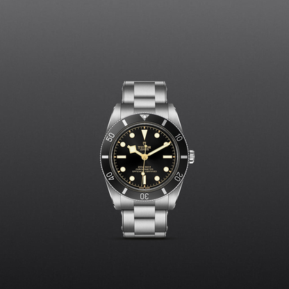 Tudor Black Bay 54 — photo 2 of 5