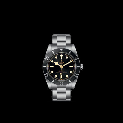 Tudor Black Bay 54 — photo 3 of 5