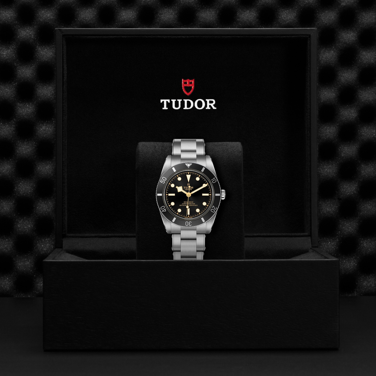Tudor Black Bay 54 — photo 5 of 5