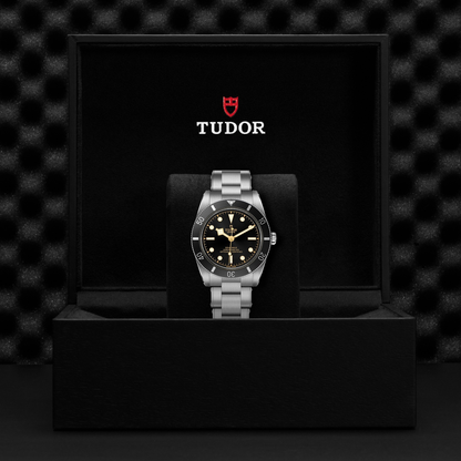 Tudor Black Bay 54 — photo 5 of 5